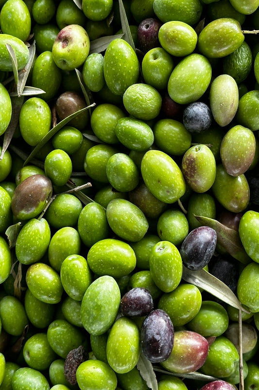 ACEITE DE OLIVA PARA LA PIEL: 10 mejores beneficios
